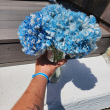 Load image into Gallery viewer, New England Hydrangea