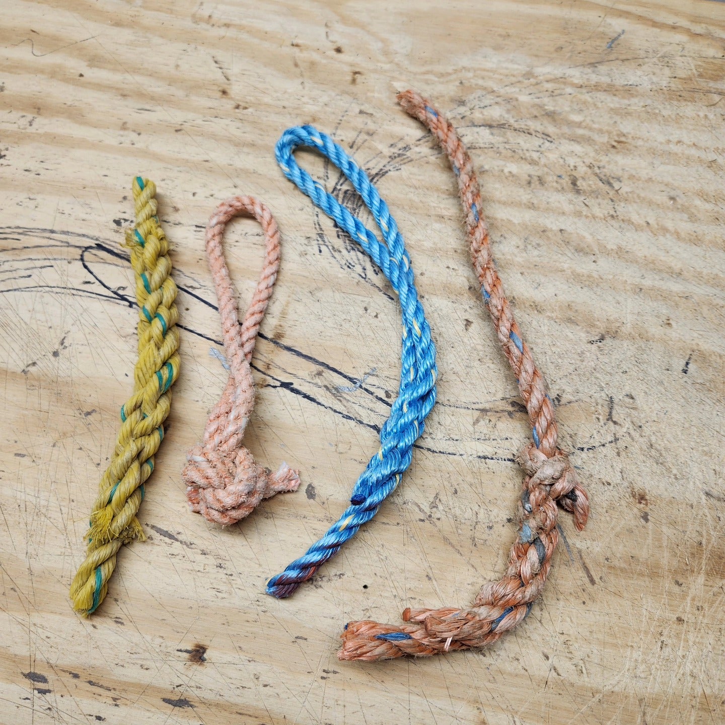 Box of rope ends, splices, and knots. – Harborside Rope Works